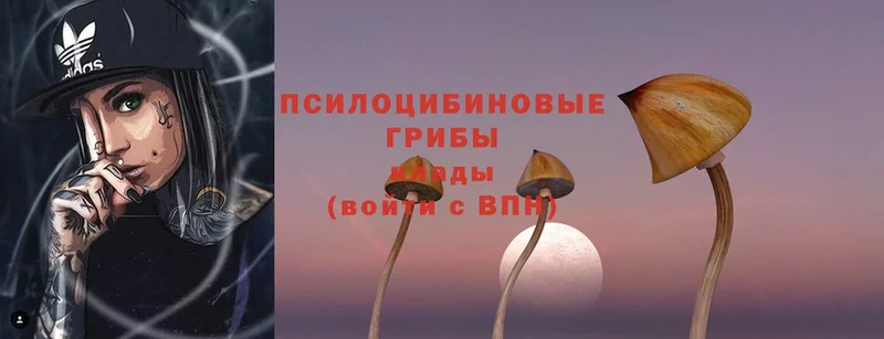 Псилоцибиновые грибы Magic Shrooms  Серов 